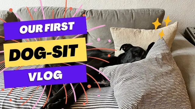 #dogsit #dogsitter #adventure 

Get ready for a wild ride as we take on our first dog-sitting gig in Berlin with the adorable yet energetic Wok! In this hilarious and heartwarming video, we share our experience as novice dog sitters, taking you through the ups and downs of caring for this big furry friend. 

From navigating the city with Wok to dealing with unexpected challenges, we'll give you a sneak peek into the joys and struggles of dog sitting. 

And if you love our content, don't forget to check out our Youtube channel, @therealfabryk  where we document our exciting adventures and travels around the world!